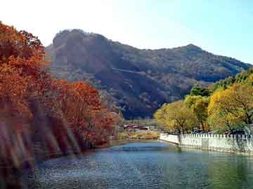 正新澳门二四六天天彩，上海中空板